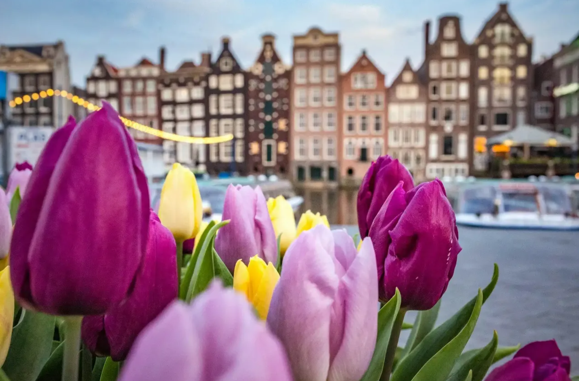 Foto del viaje Amsterdam Weekend: de los molinos a la fábrica de cerveza