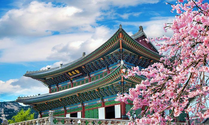 A traditional Asian temple with an ornate green and blue tiled roof is framed by pink cherry blossoms under a blue sky with white clouds.