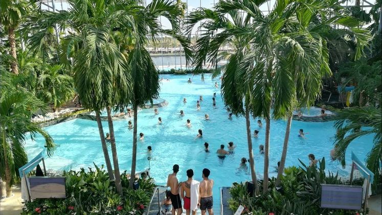 Una vista aérea de una gran piscina cubierta llena de gente nadando entre exuberantes palmeras.