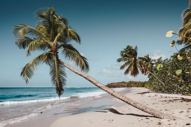 martinica-beach-caribean-sea-adventure-relax-nature