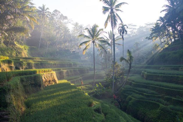 Indonesia: da Bali a Komodo