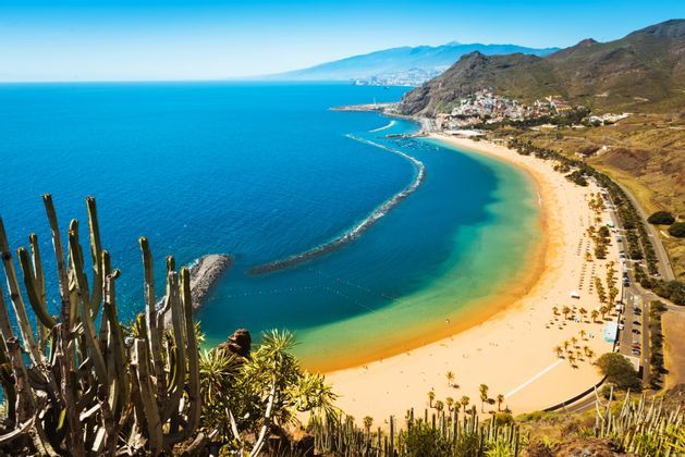 Una vista dall'alto di una spiaggia di sabbia dorata e di una baia turchese, con cactus in primo piano e una località costiera ai piedi delle montagne.
