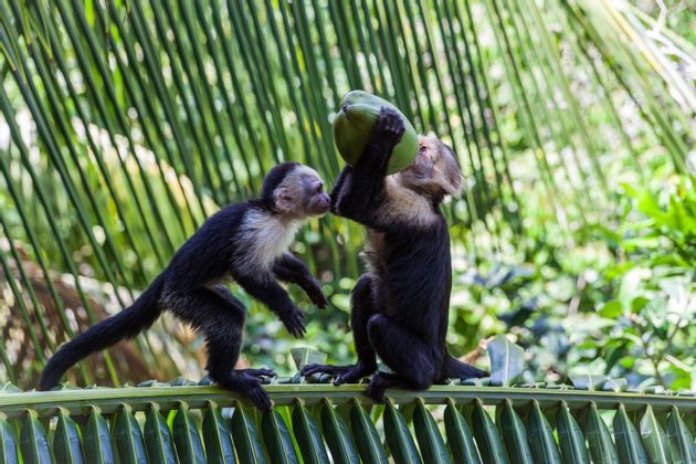 Ami la natura e vuoi partire per un viaggio fuori città? Allora fallo con WeRoad e vivi un'esperienza unica.
