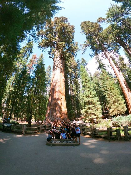 Panorama al parco nazionale della sequoia, in California ad agosto - WeRoad