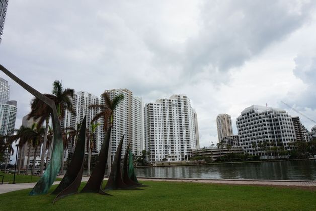 Panorama dei grattacieli di Miami in Florida in autunno - WeRoad