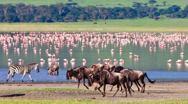 Vorresti immergerti nella natura e ammirare le sue bellezze? Parti con WeRoad in Tanzania e vivi un'esperienza unica