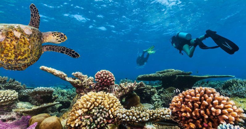 viaggio-maldive-tour-9-giorni.jpg