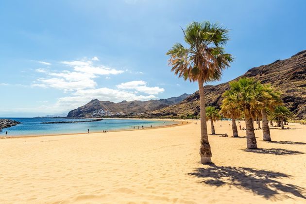 Palm trees cast shadows on a golden sand beach bordering a calm blue bay, with rugged mountains in the background under a sunny sky.