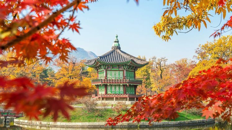 Un pavillon traditionnel vert et rouge se dresse sur une petite île dans un étang, entouré d'un feuillage d'automne coloré.