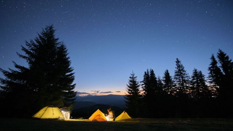 Tre tende illuminate e un falò in una radura nel bosco di notte, con alberi in silhouette sotto un cielo stellato.