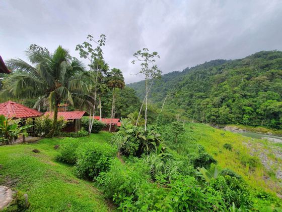 costa-rica-natura-agosto-estate.jpg