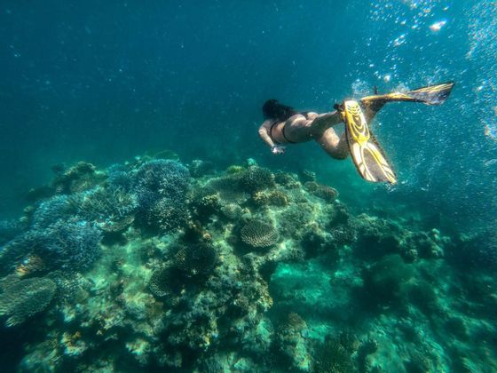 Snorkeling in un mare cristallino? Solo una delle tantissime esperienze che vivrai in Thailandia con WeRoad. Parti con noi nel nostro prossimo viaggio!