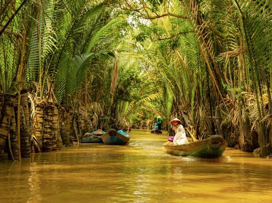 A WeRoad group trip rowing small wooden boats down a narrow river bordered by lush palm trees.