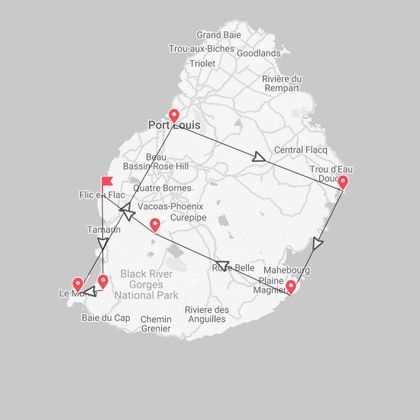 Mauritius Safari: natura selvaggia tra balene, tartarughe e spiagge paradisiache