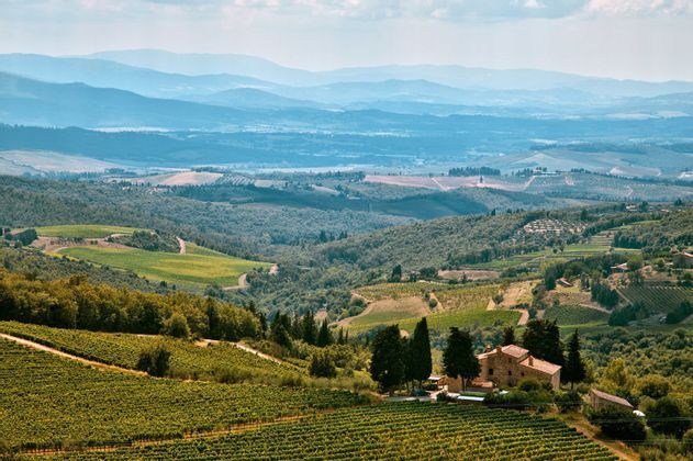 Toscana Express: le colline del Chianti
