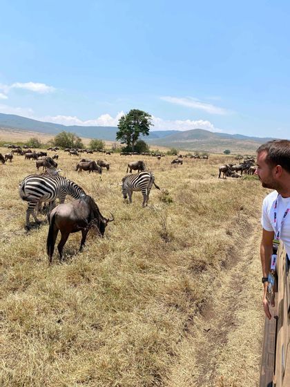 Vorresti vedere animali selvaggi dal vicino? Parti con WeRoad per provare questa esperienza incredibile.