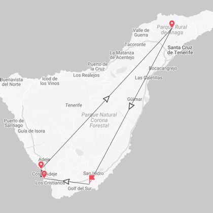 Tenerife Active Express: surf, kayak e snorkeling nell'isola del sole