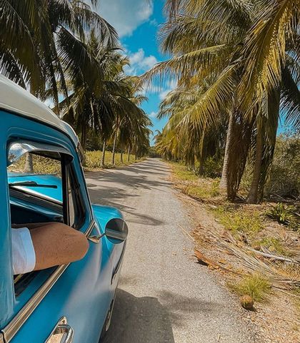Un bras repose sur la vitre d'une voiture vintage bleue, roulant sur une route bordée de palmiers.