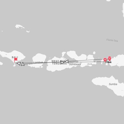 Indonesia Diving: immersioni e snorkeling tra Komodo e Bali
