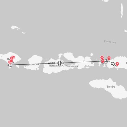 Indonésie : Bali, Flores & Croisière à Komodo