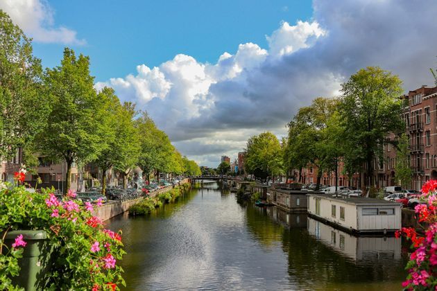 Un canal urbano fluye entre calles arboladas con coches aparcados y casas flotantes, bajo un cielo azul con nubes blancas y flores en primer plano.