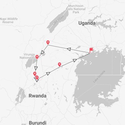 Uganda Safari: gorilla, Big Five e scimpanzé