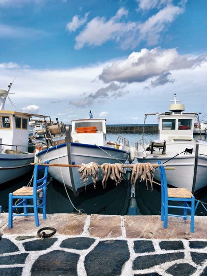 Polpi appesi ad asciugare su un palo di legno in equilibrio tra due sedie blu su un molo di pietra, con barche da pesca in un porto.