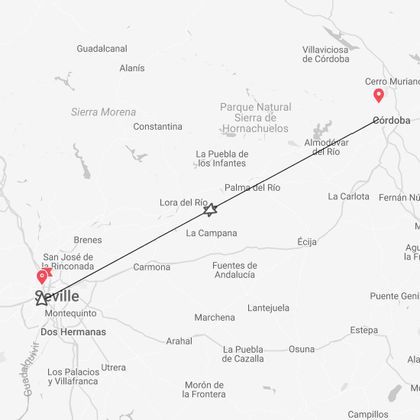 Seville and Cordoba Express