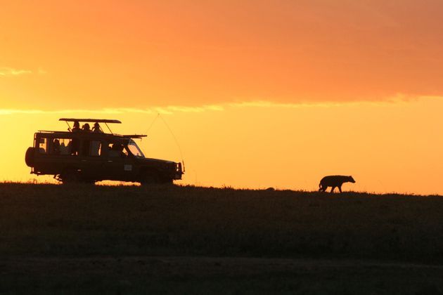 Scopri il Kenya: parti con Ale e Giulia di WeRoad e immergiti nella savana!