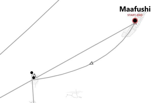 Maldives Beach Life: Five paradise islands among sharks, rays and dolphins
