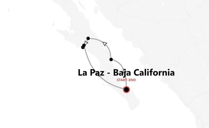 Baja California Safari: incontro con le balene grigie