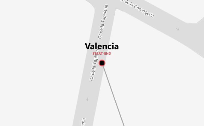 Valencia Express: città in festa per Las Fallas