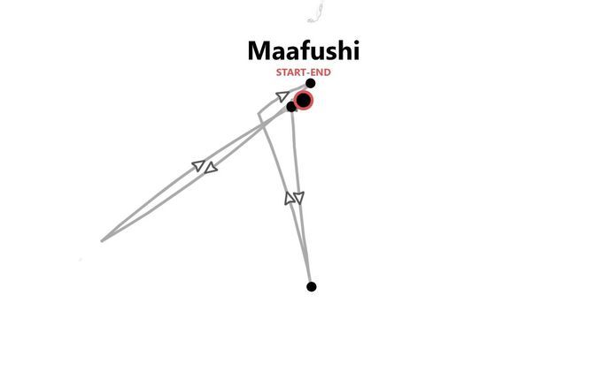 Maldive Beach Life: cinque isole paradisiache tra squali, razze e delfini