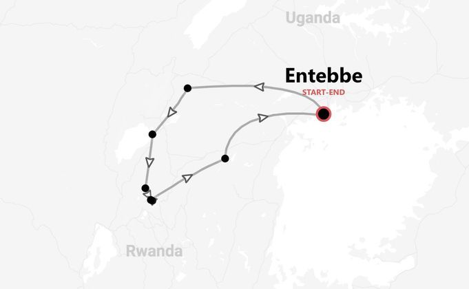 Uganda Safari: gorilla, Big Five e scimpanzé