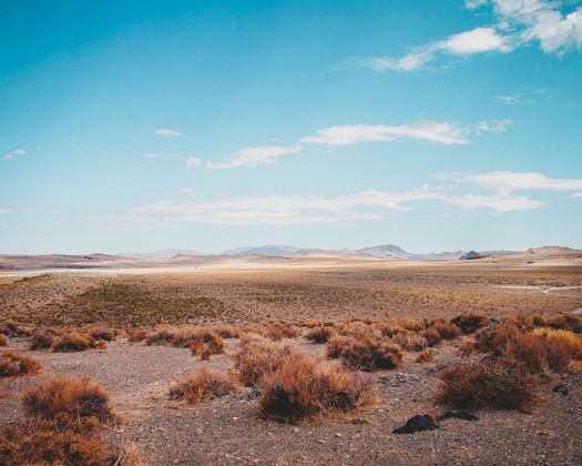 Scopri la Baja California in un viaggio di gruppo con WeRoad: parti con Caterina e scopri la natura e la fauna di questa zona del Messico!