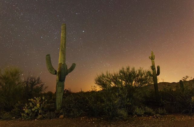 Scopri la Baja California in un viaggio di gruppo con WeRoad: parti con Caterina e scopri la natura e la fauna di questa zona del Messico!
