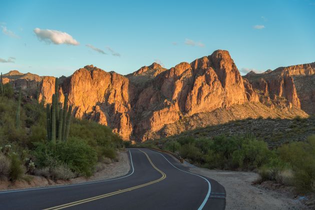 Scopri la Baja California in un viaggio di gruppo con WeRoad: parti con Caterina e scopri la natura e la fauna di questa zona del Messico!