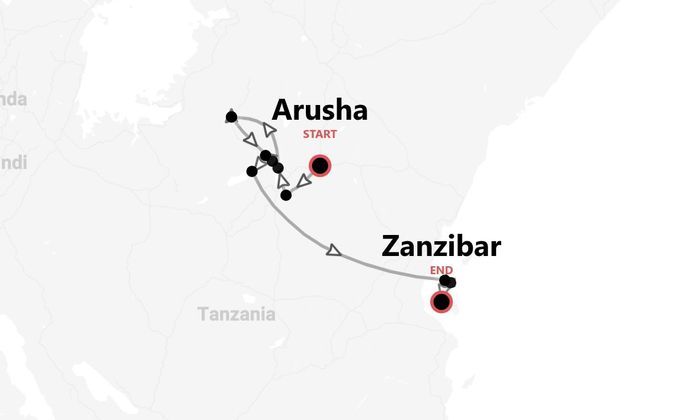 Tanzania Safari: dalle falde del Kilimanjaro alle spiagge di Zanzibar