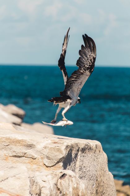 Scopri la Baja California in un viaggio di gruppo con WeRoad: parti con Caterina e scopri la natura e la fauna di questa zona del Messico!