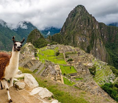 A brown and white llama stands on a ledge overlooking ancient stone ruins built into a green mountainside under a cloudy sky.