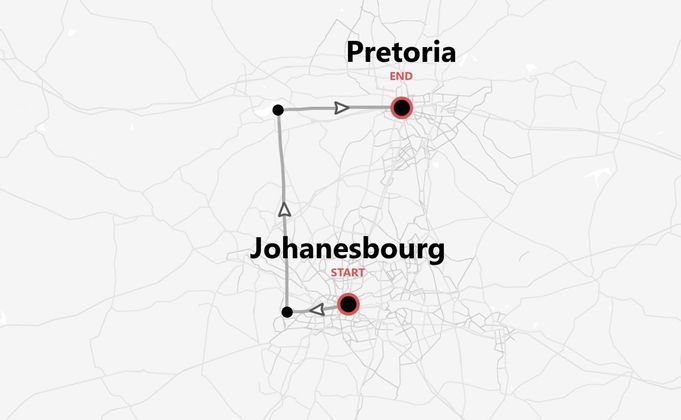 Immersion en Afrique du Sud : animaux sauvages, volontariat