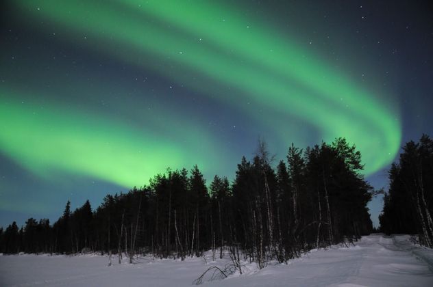 viaggio-lapponia-aurora-boreale-natura.jpg