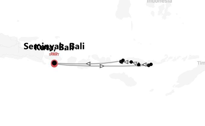 Indonesien Expedition: Flores, Mantas & Komodo-Warane