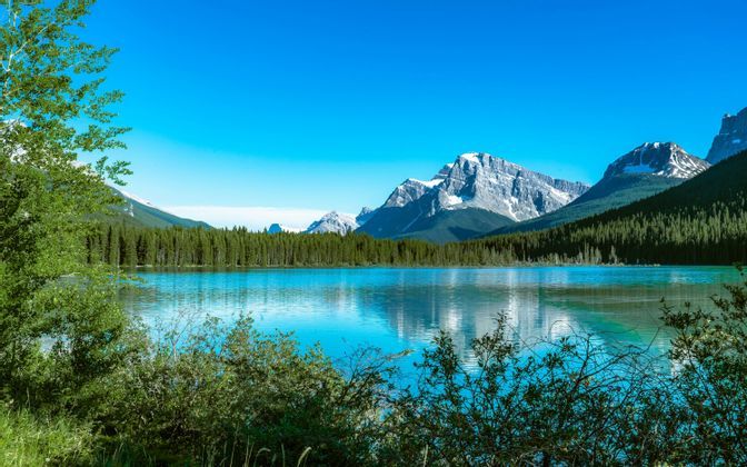 A turquoise mountain lake reflects snow-capped peaks and a dense pine forest under a clear blue sky.