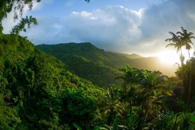 4-El-Yunque.jpg