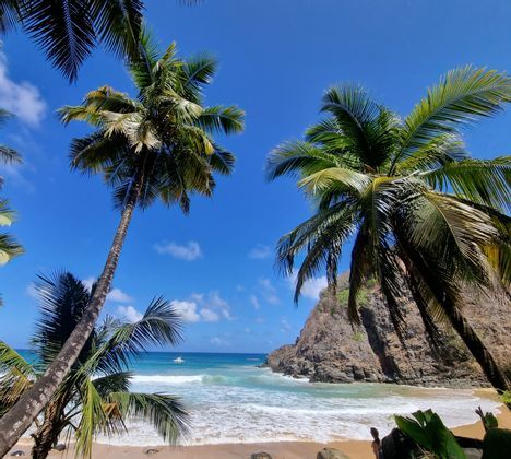 Palmeras enmarcan una vista de una cala de playa tropical aislada con aguas turquesas y un acantilado rocoso bajo un cielo azul claro.