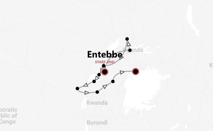 Safari in Uganda: trekking con i Gorilla di montagna e safari con i Big 5