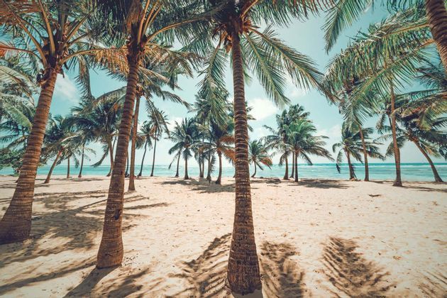 Guadeloupe beachlife: spiagge delle Antille Francesi e Mar dei Caraibi