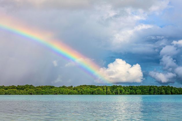 Un brillante arcobaleno si inarca su un cielo nuvoloso e suggestivo, sopra un tranquillo specchio d'acqua e una riva lussureggiante e alberata.