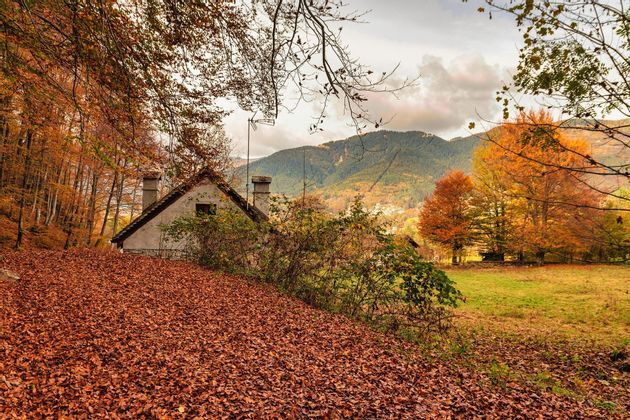 Un casolare rustico su una collina ricoperta di foglie autunnali cadute, con alberi colorati e montagne sullo sfondo.